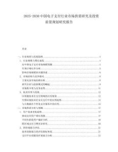 2025-2030中國電子支付行業市場供需研究及投資前景規劃研究報告