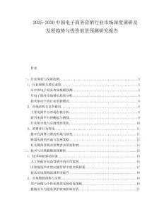 2025-2030中國電子商務營銷行業市場深度調研及發展趨勢與投資前景預測研究報告