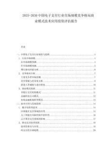 2025-2030中國電子支付行業市場規模競爭格局商業模式技術應用投資評估報告