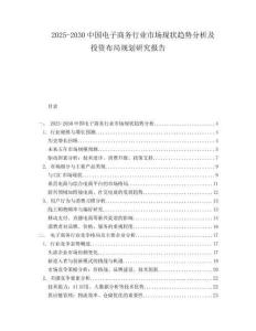 2025-2030中國電子商務行業(yè)市場現(xiàn)狀趨勢分析及投資布局規(guī)劃研究報告