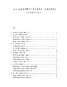 2025-2030中國電力行業(yè)供需現(xiàn)狀分析及投資機(jī)會(huì)評(píng)估規(guī)劃研究報(bào)告