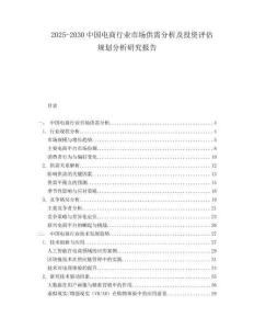 2025-2030中國電商行業市場供需分析及投資評估規劃分析研究報告