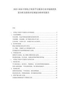 2025-2030中國電子商務(wù)平臺(tái)服務(wù)行業(yè)市場現(xiàn)狀供需分析及投資評(píng)估規(guī)劃分析研究報(bào)告