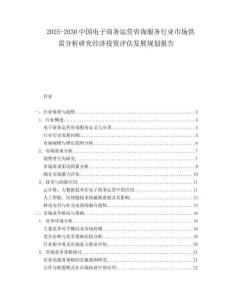 2025-2030中國電子商務運營咨詢服務行業市場供需分析研究經濟投資評估發展規劃報告