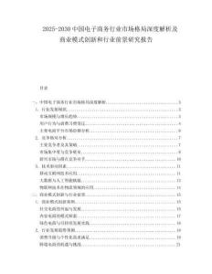 2025-2030中國電子商務(wù)行業(yè)市場格局深度解析及商業(yè)模式創(chuàng)新和行業(yè)前景研究報告