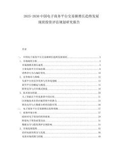 2025-2030中國電子商務(wù)平臺交易額增長趨勢發(fā)展現(xiàn)狀投資評估規(guī)劃研究報告