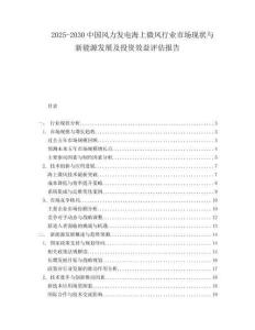 2025-2030中國風力發電海上微風行業市場現狀與新能源發展及投資效益評估報告