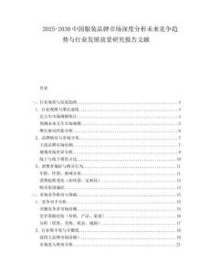 2025-2030中國服裝品牌市場深度分析未來競爭趨勢與行業發展前景研究報告文獻