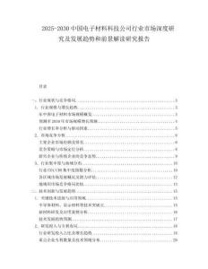 2025-2030中國電子材料科技公司行業市場深度研究及發展趨勢和前景解讀研究報告
