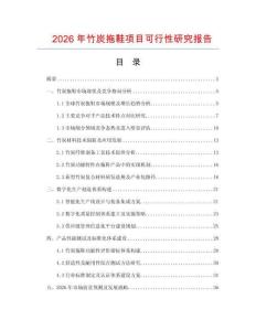 2026年竹炭拖鞋項(xiàng)目可行性研究報(bào)告