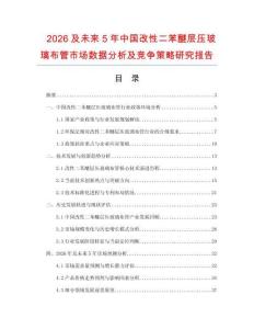 2026及未來5年中國(guó)改性二苯醚層壓玻璃布管市場(chǎng)數(shù)據(jù)分析及競(jìng)爭(zhēng)策略研究報(bào)告