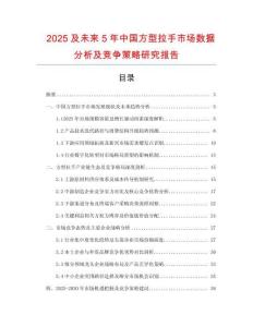 2025及未來5年中國方型拉手市場數(shù)據(jù)分析及競爭策略研究報告