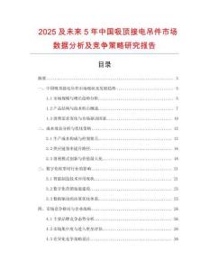 2025及未來5年中國吸頂接電吊件市場數(shù)據(jù)分析及競爭策略研究報(bào)告