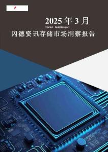 【閃德資訊】存儲市場洞察報告 2025年3月