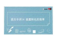 九年级物理wd拔尖专训14 能量转化的效率 (2)