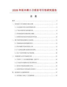 2026年彩木柄小刀項目可行性研究報告