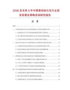 2026及未來5年中國高檔炭化毛行業投資前景及策略咨詢研究報告