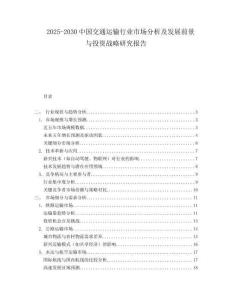 2025-2030中國交通運輸行業市場分析及發展前景與投資戰略研究報告