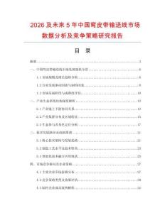2026及未來(lái)5年中國(guó)彎皮帶輸送線市場(chǎng)數(shù)據(jù)分析及競(jìng)爭(zhēng)策略研究報(bào)告