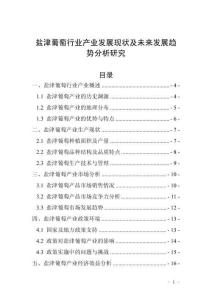 鹽津葡萄行業(yè)產(chǎn)業(yè)發(fā)展現(xiàn)狀及未來發(fā)展趨勢(shì)分析研究