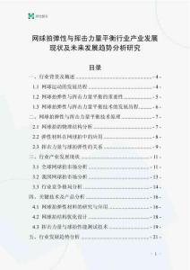 網(wǎng)球拍彈性與揮擊力量平衡行業(yè)產(chǎn)業(yè)發(fā)展現(xiàn)狀及未來發(fā)展趨勢分析研究