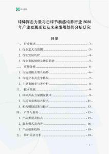 球棒揮擊力量與擊球節(jié)奏感培養(yǎng)行業(yè)2026年產(chǎn)業(yè)發(fā)展現(xiàn)狀及未來發(fā)展趨勢分析研究