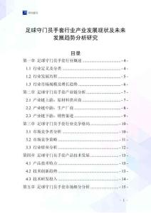 足球守門員手套行業(yè)產(chǎn)業(yè)發(fā)展現(xiàn)狀及未來發(fā)展趨勢(shì)分析研究