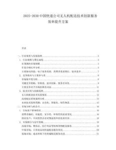 2025-2030中國(guó)快遞公司無(wú)人機(jī)配送技術(shù)創(chuàng)新服務(wù)效率提升方案