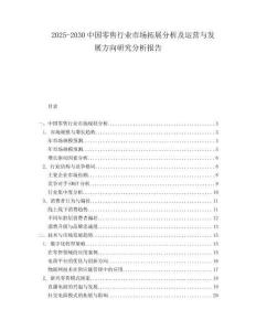 2025-2030中國零售行業(yè)市場拓展分析及運營與發(fā)展方向研究分析報告