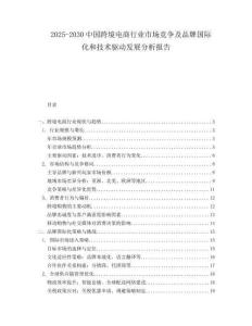 2025-2030中國跨境電商行業(yè)市場競爭及品牌國際化和技術(shù)驅(qū)動發(fā)展分析報告