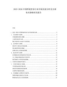 2025-2030中國跨境貿(mào)易行業(yè)市場發(fā)展分析及全球布局策略研究報告