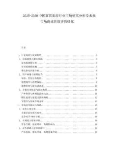 2025-2030中國露營旅游行業(yè)市場研究分析及未來市場商業(yè)價值評估研究