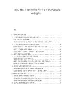 2025-2030中國跨境電商平臺競爭力對比與運(yùn)營策略研究報告