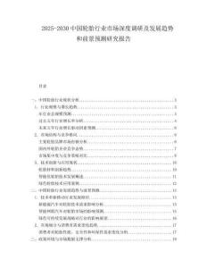 2025-2030中国轮胎行业市场深度调研及发展趋势和前景预测研究报告