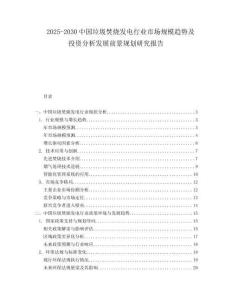 2025-2030中國垃圾焚燒發(fā)電行業(yè)市場規(guī)模趨勢及投資分析發(fā)展前景規(guī)劃研究報告