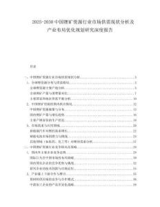 2025-2030中國鋰礦資源行業(yè)市場供需現(xiàn)狀分析及產(chǎn)業(yè)布局優(yōu)化規(guī)劃研究深度報告