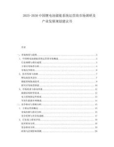 2025-2030中国锂电池储能系统运营商市场调研及产业发展规划建议书