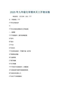 2025年九年級(jí)化學(xué)期末天工開物試卷
