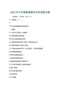 2025年九年級(jí)物理期末開拓創(chuàng)新試卷