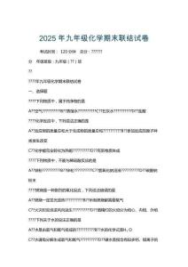 2025年九年級(jí)化學(xué)期末聯(lián)結(jié)試卷