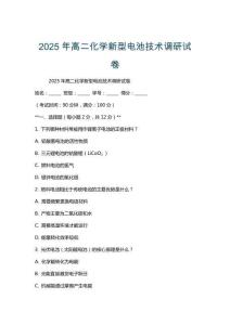 2025年高二化學(xué)新型電池技術(shù)調(diào)研試卷