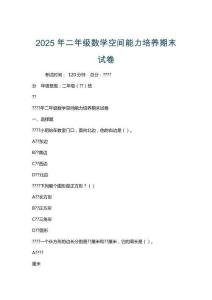 2025年二年級數學空間能力培養期末試卷