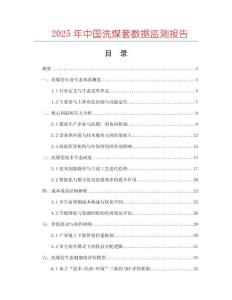 2025年中國洗煤套數據監測報告