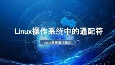 《Linux操作系統(tǒng)基礎(chǔ)》課件——Linux操作系統(tǒng)中的通配符