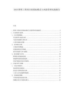 2025照明工程項目招投標模式與風險管理實踐報告
