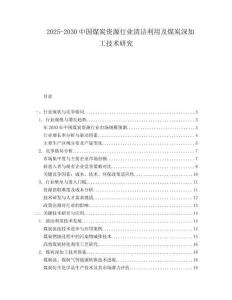 2025-2030中國煤炭資源行業(yè)清潔利用及煤炭深加工技術研究