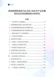 球拍握柄舒適度行業(yè)2026-2030年產(chǎn)業(yè)發(fā)展現(xiàn)狀及未來(lái)發(fā)展趨勢(shì)分析研究