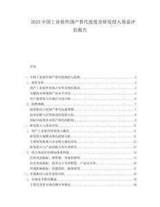 2025中國工業(yè)軟件國產(chǎn)替代進(jìn)度及研發(fā)投入效益評估報告
