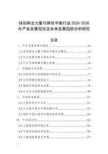 球拍揮擊力量與彈性平衡行業2026-2030年產業發展現狀及未來發展趨勢分析研究