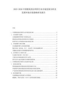2025-2030中國煤炭清潔利用行業(yè)市場發(fā)展分析及發(fā)展環(huán)境市場策略研究報告